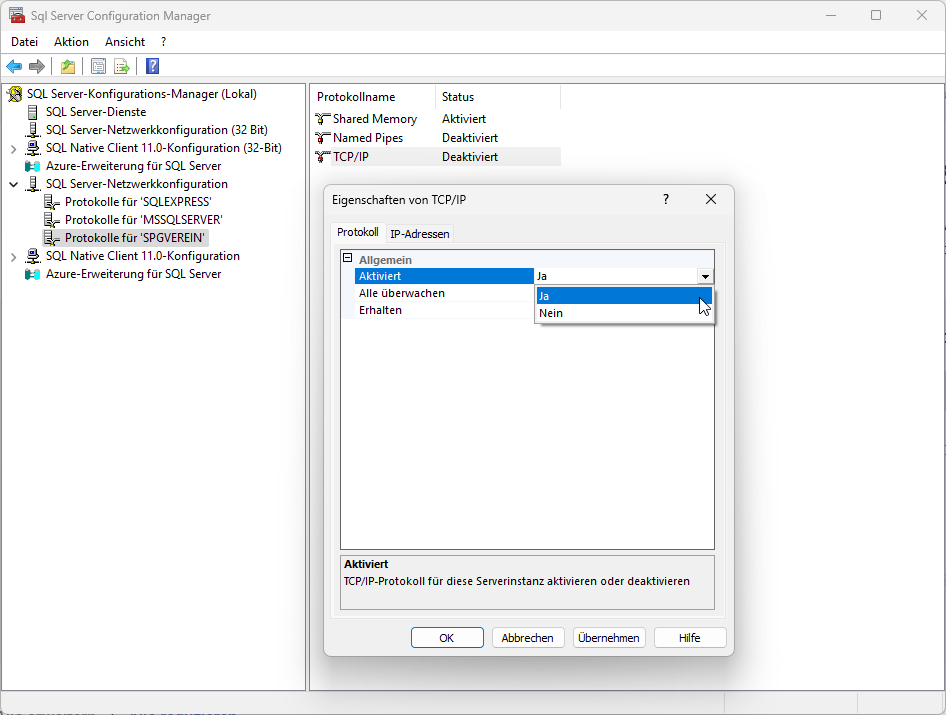 TCP/IP aktivieren